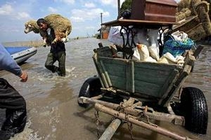 Banat Flood #3